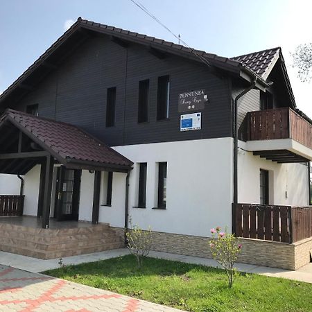 Pensiunea Dany - Crys Zvoristea Zewnętrze zdjęcie