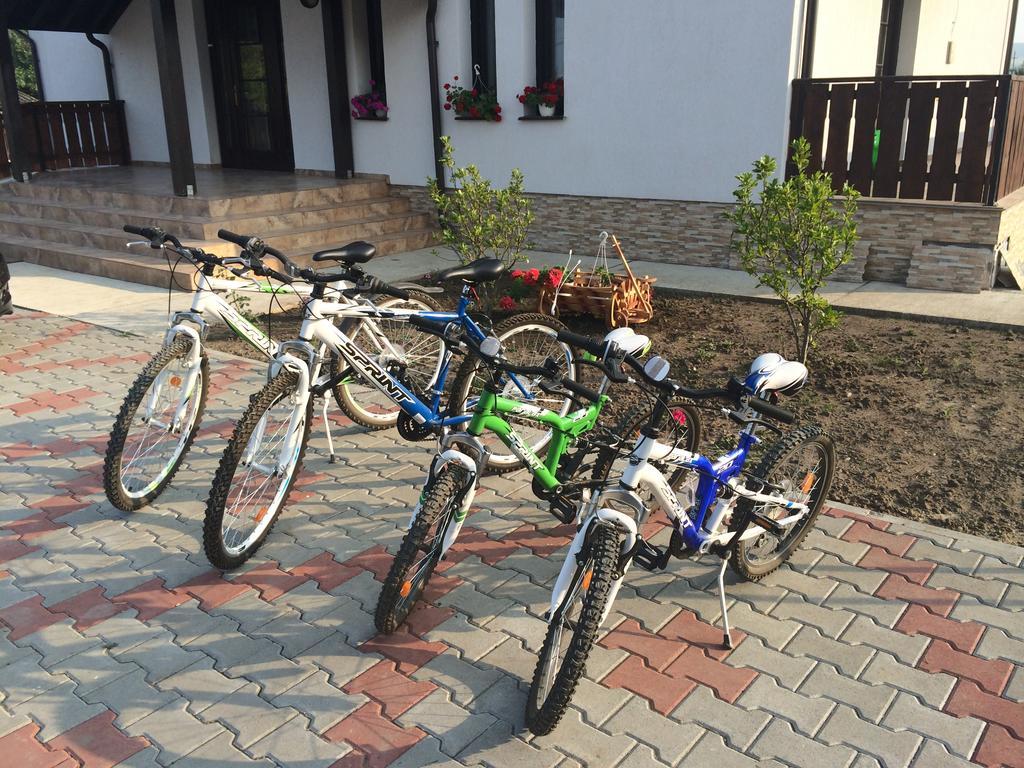Pensiunea Dany - Crys Zvoristea Zewnętrze zdjęcie