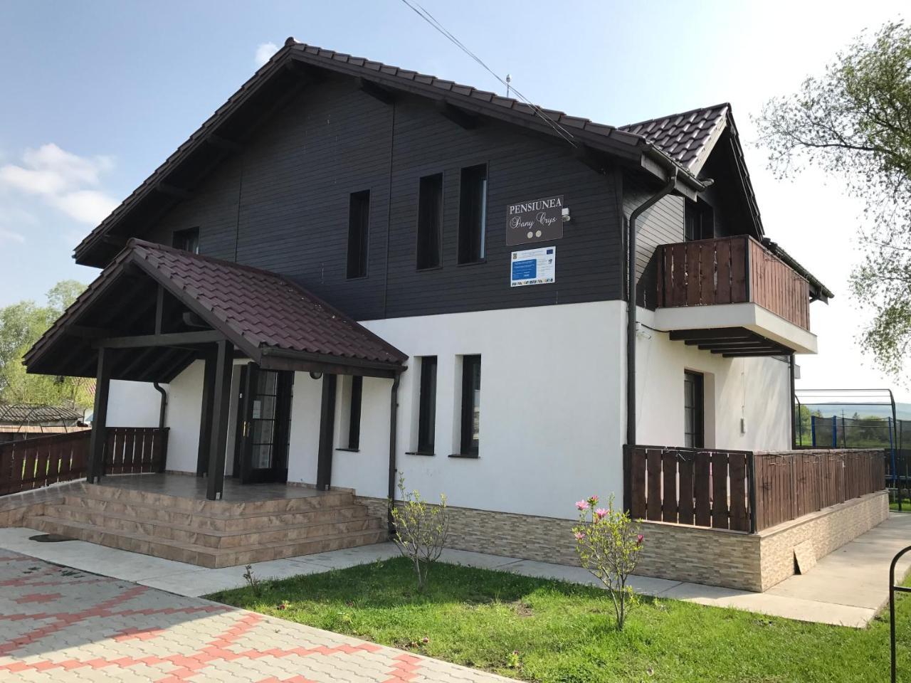 Pensiunea Dany - Crys Zvoristea Zewnętrze zdjęcie